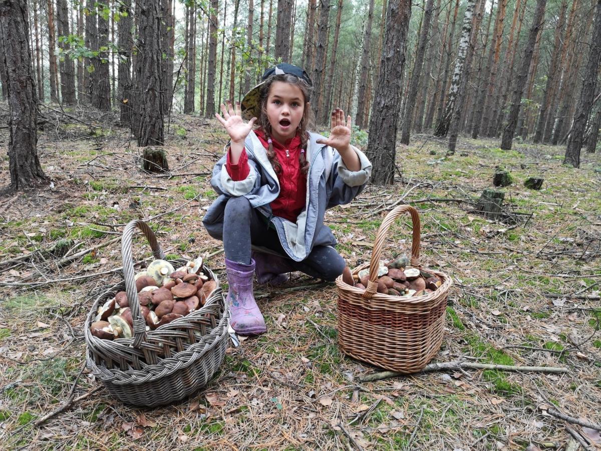 Agroturystyka Plener Miedzichowo Exterior foto