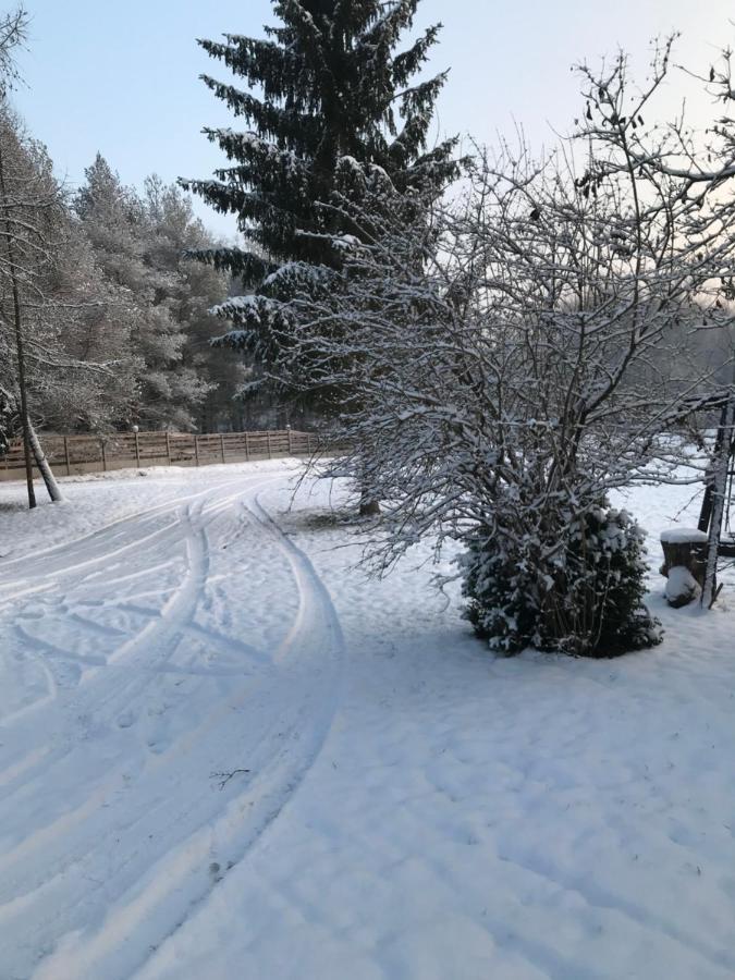 Agroturystyka Plener Miedzichowo Exterior foto